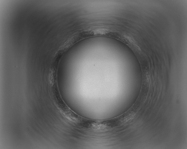 X0000073830311200608240957