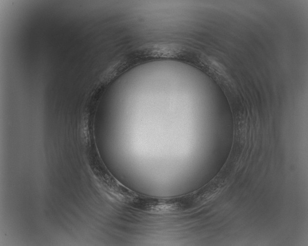 X0000073830312200608240957