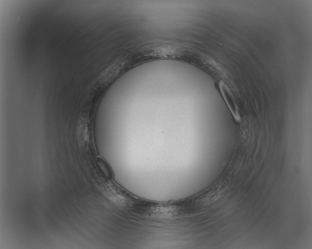 X0000073830313200608240957