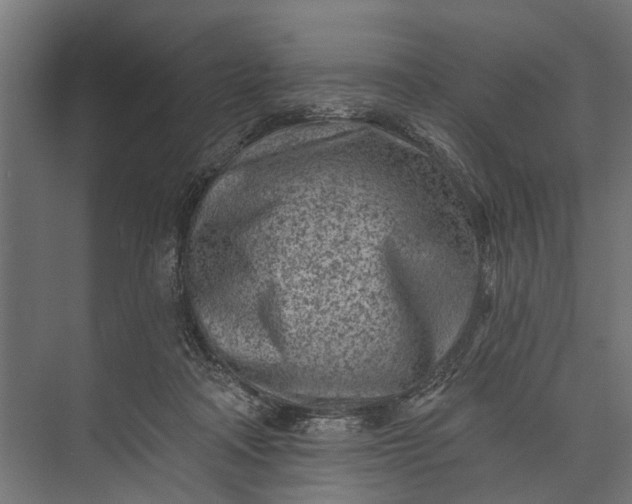 X0000073830314200608240957