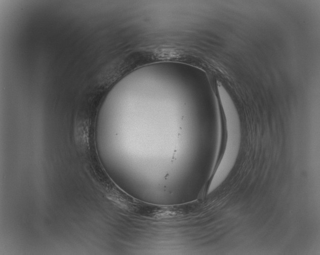 X0000073830315200608240957