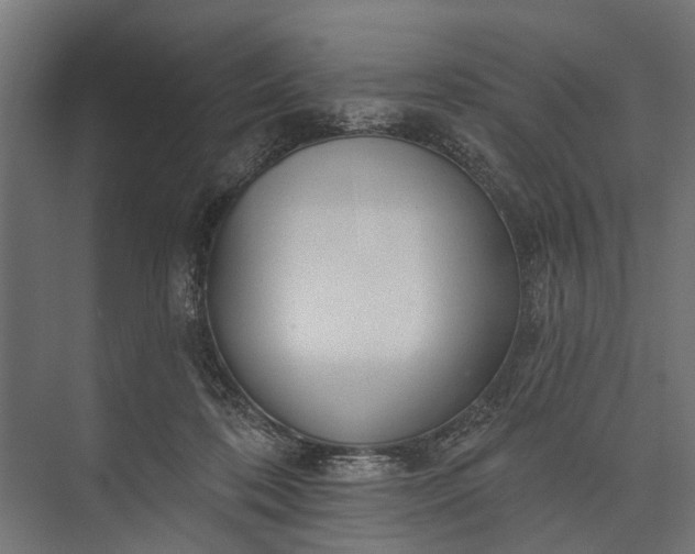 X0000073830316200608240957