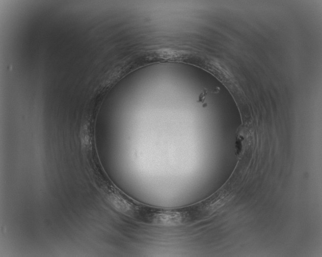 X0000073830317200608240957