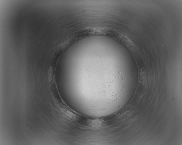 X0000073830318200608240957