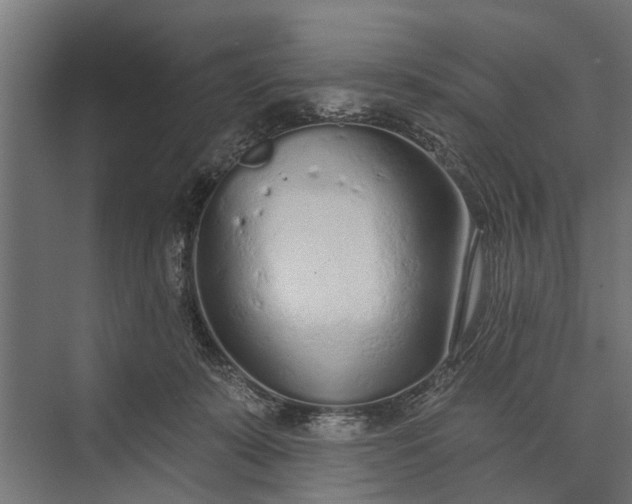 X0000073830319200608240957