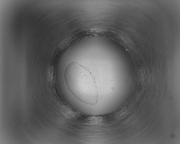 X0000073830328200608240957