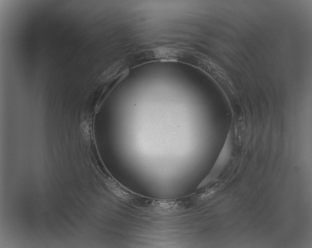 X0000073830329200608240957