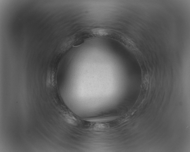 X0000073830330200608240957