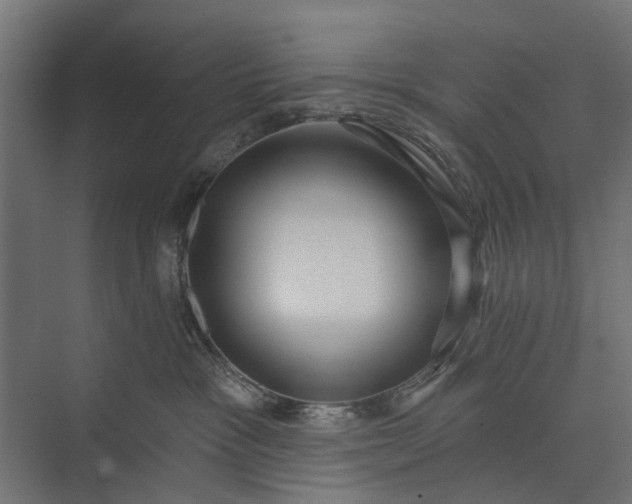 X0000073830333200608240957