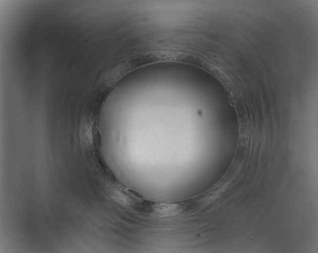 X0000073830334200608240957