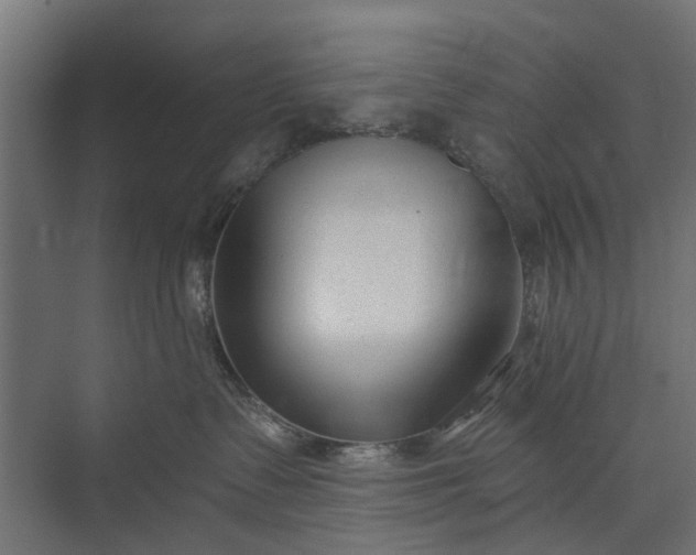 X0000073830335200608240957