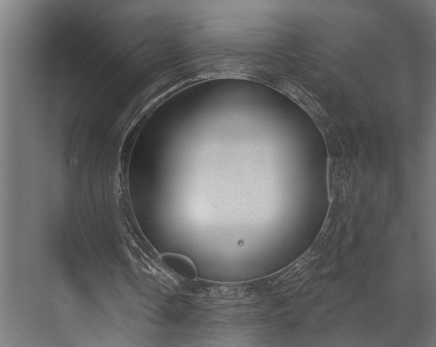 X0000073830338200608240956