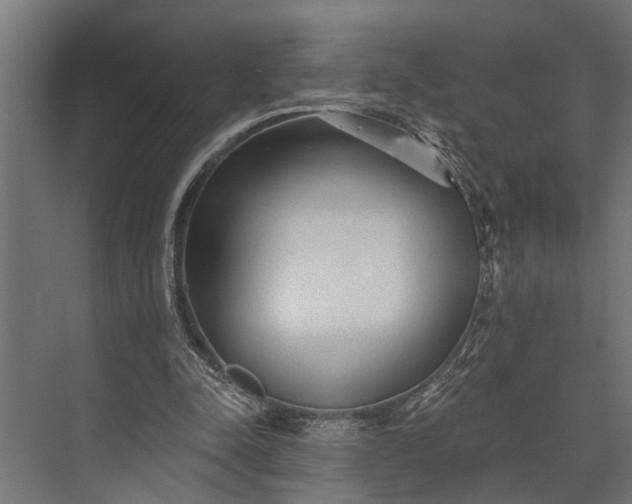 X0000073830342200608240956