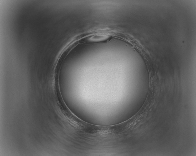 X0000073830344200608240956