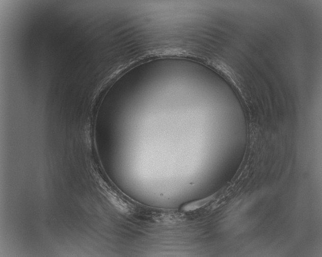 X0000073830345200608240956