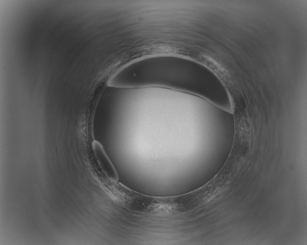 X0000073830352200608240957