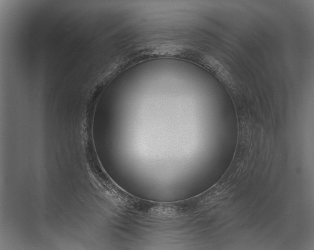 X0000073830354200608240957