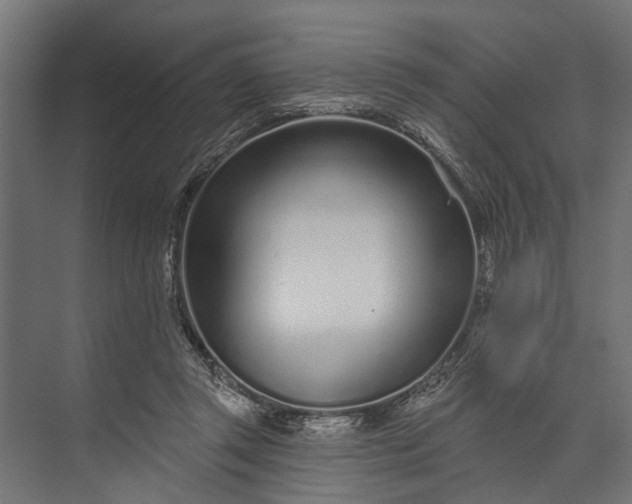 X0000073830357200608240957