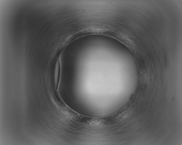 X0000073830358200608240957