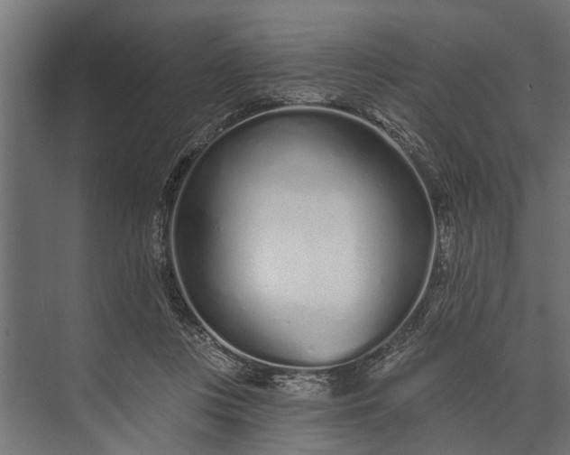 X0000073830359200608240957