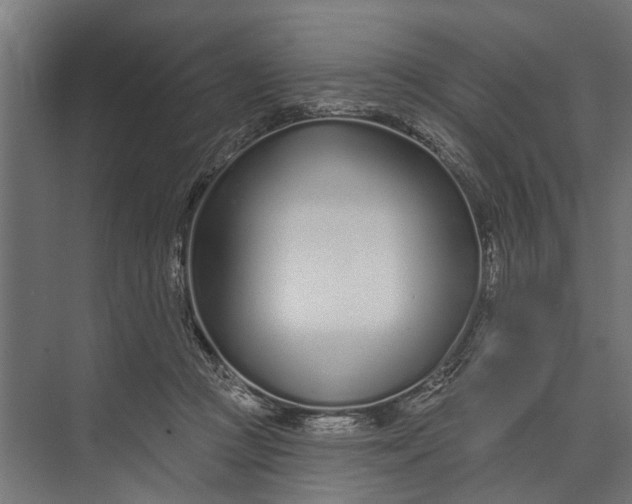 X0000073830361200608240957