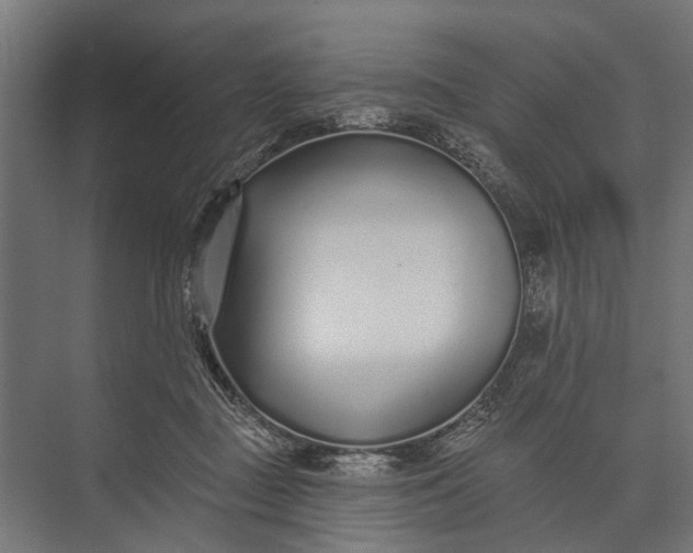 X0000073830363200608240957