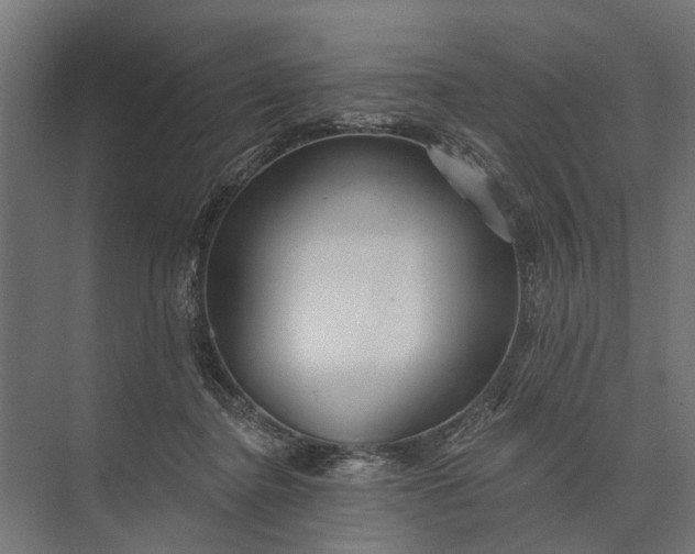 X0000073830364200608240957