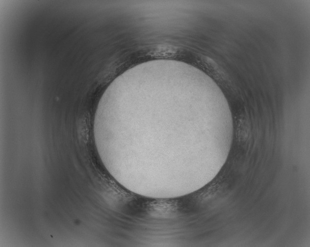 X0000073830370200608240957