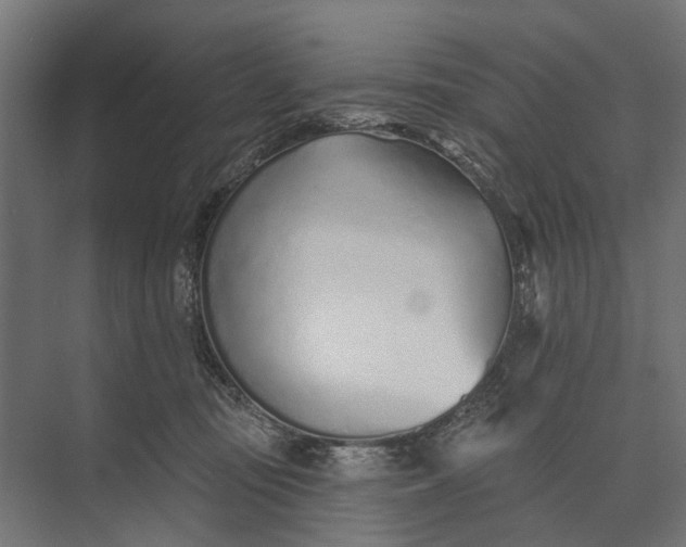 X0000073830371200608240957