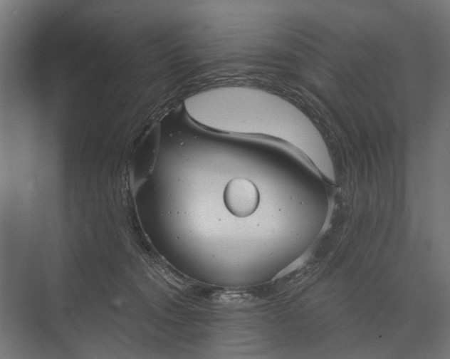 X0000073830372200608240957