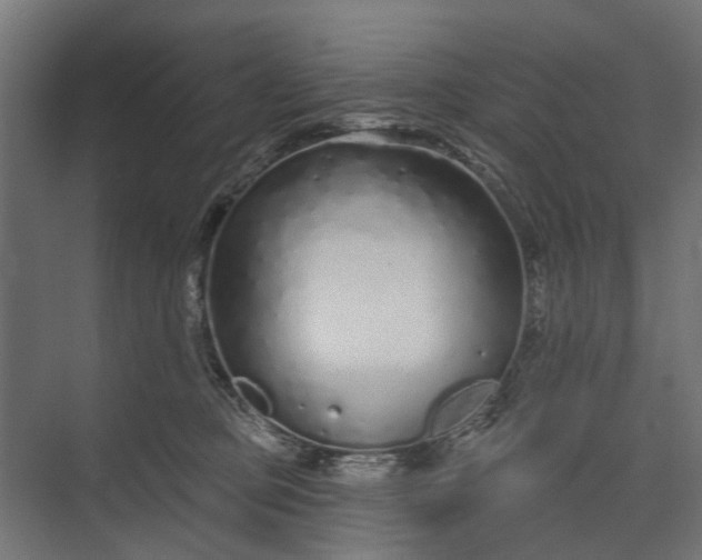 X0000073830373200608240957