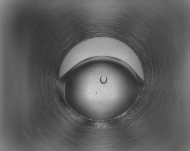 X0000073830376200608240957