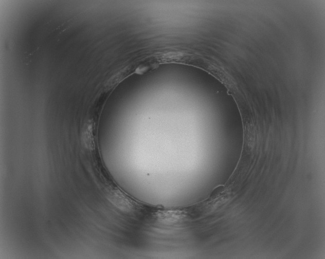 X0000073830378200608240957