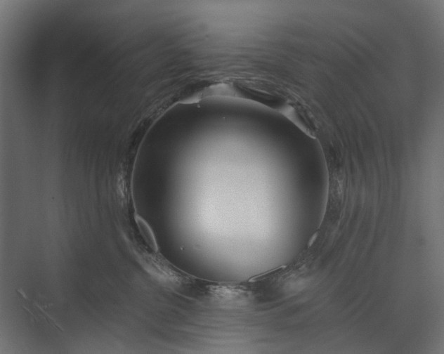 X0000073830380200608240957