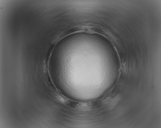 X0000073830381200608240957