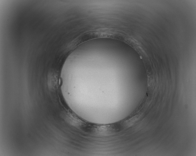 X0000073830382200608240957