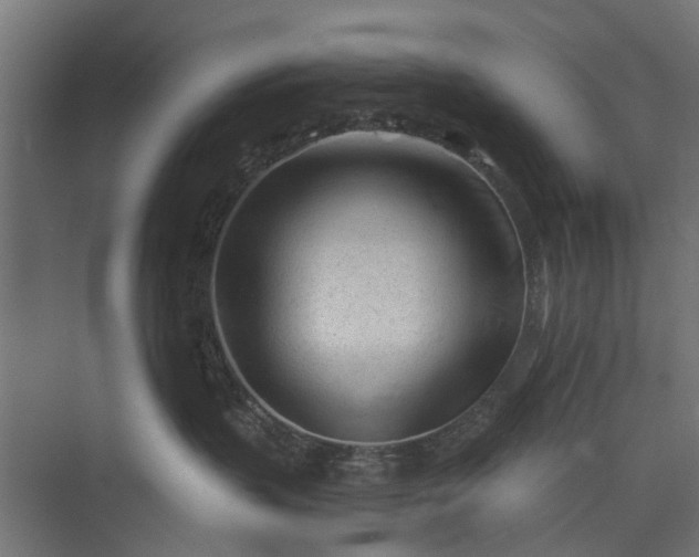 X0000073830383200608240957