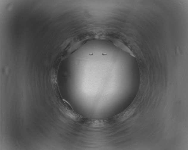 X0000073830384200608240957