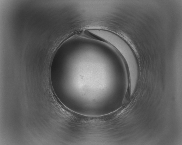 X0000073830385200608240956