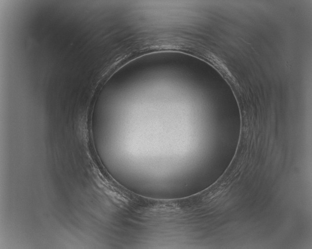 X0000073830386200608240956