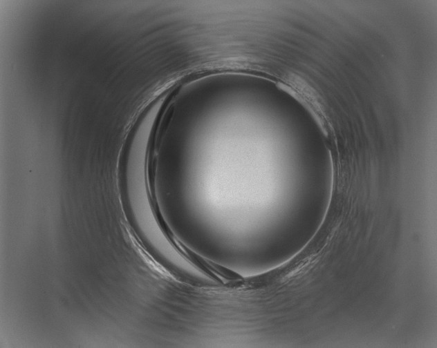 X0000073830389200608240956