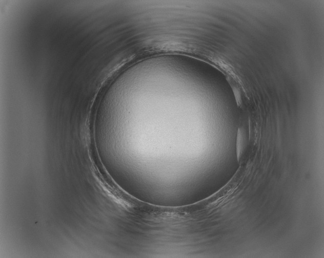 X0000073830390200608240956