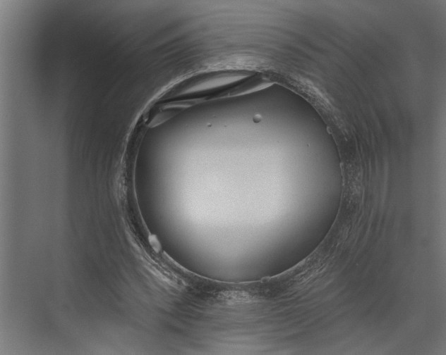 X0000073830392200608240956