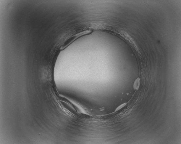 X0000073830393200608240956