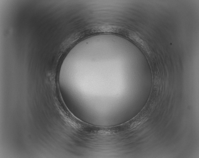 X0000073830394200608240956