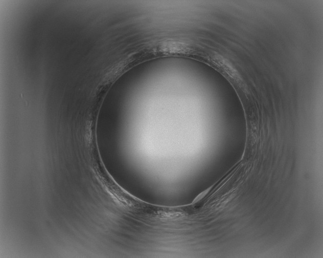 X0000073830401200608240956