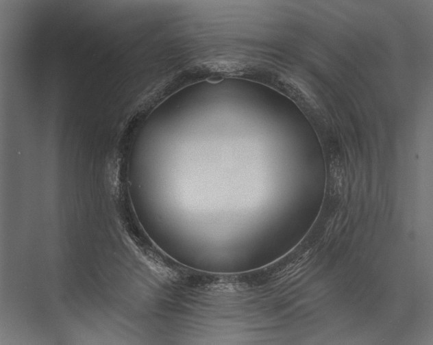 X0000073830404200608240956