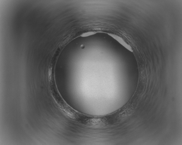 X0000073830406200608240956