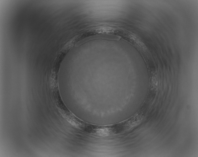 X0000073830411200608240956