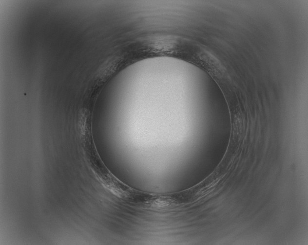 X0000073830412200608240956